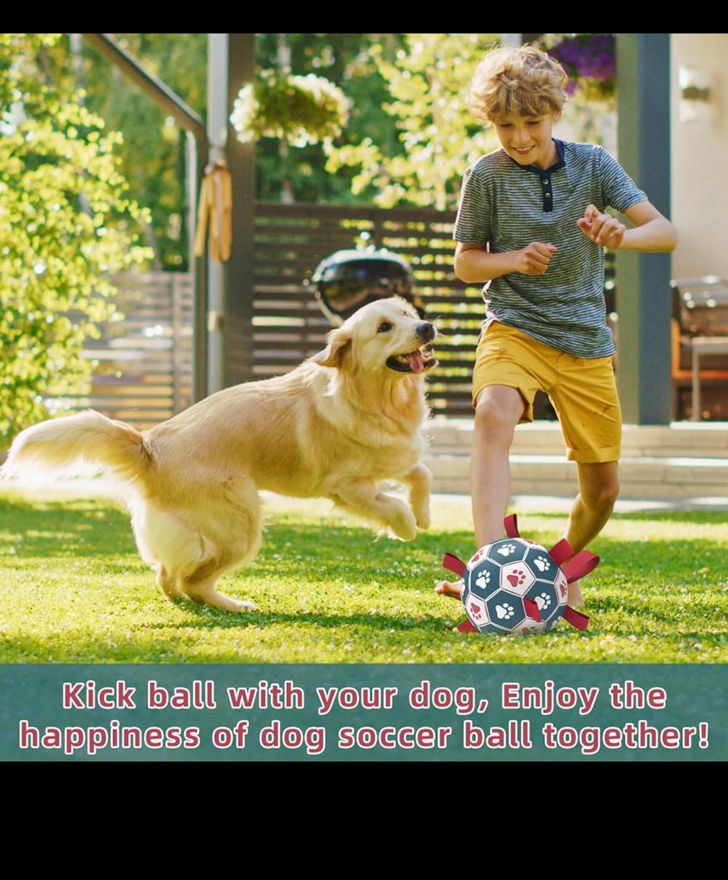 interactive-dog-soccer-ball-with-rope